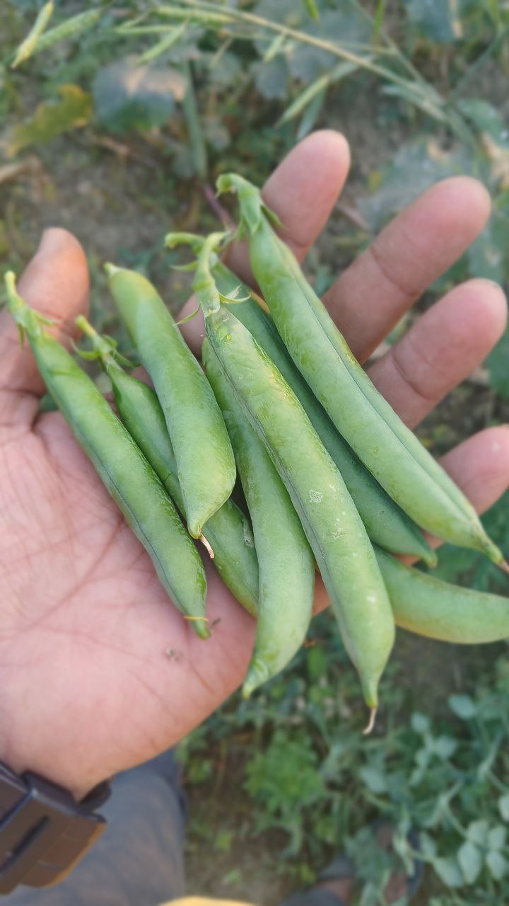 photo 2026 02 22 15 52 29